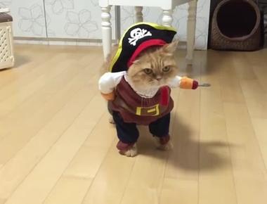 “That ship has sailed.” 是什麼意思?