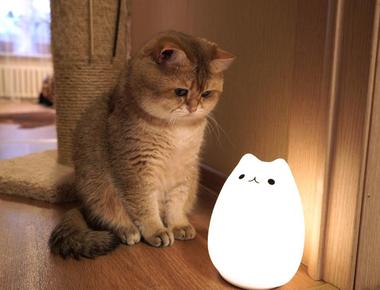 「brownout」是什麼意思？