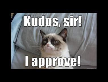 "Kudos to you" 是什麼意思?