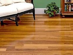 各種常見樹木, 木頭的英文名稱