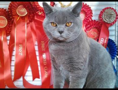 名次的英文說法