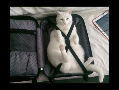 「I am a little strapped.」是什麼意思？