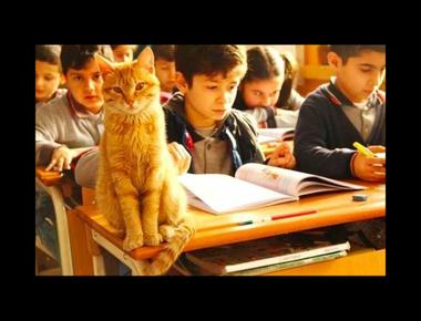 「點名」的英文怎麼說？