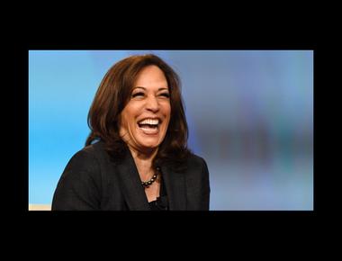 各種 "副手" 的英文說法