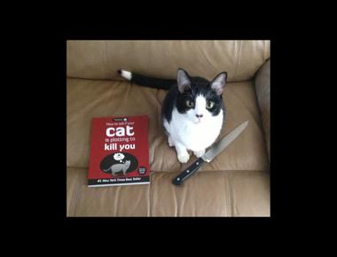 「make the cut」是什麼意思？