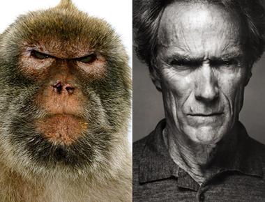 “dead ringer” 是什麼意思?