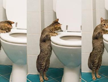 「水電工(人)」的英文怎麼說？