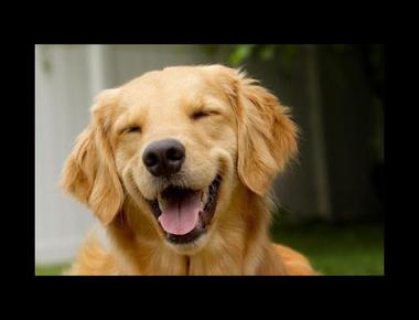 luck into… 是什麼意思？