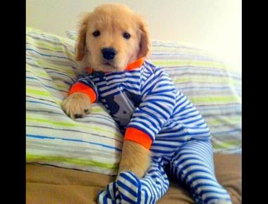 「onesie」是什麼意思？