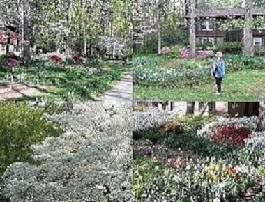 My mother-in-law has a green thumb!  超會種花的婆婆