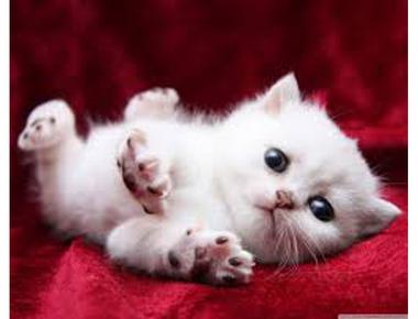 top of the morning 是什麼意思？