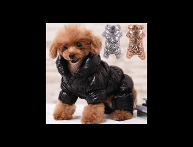 「羽絨衣」的英文怎麼說？