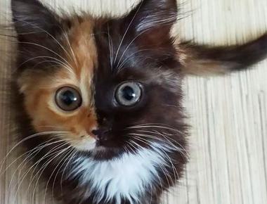 '半年' 的英文怎麼說?