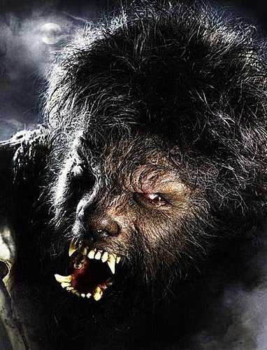 CWkTllUd hDTc5HZ2qeI9Q