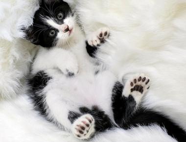 每個手指和腳趾的英文名稱