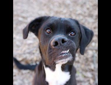 "歪掉了" 的英文怎麼說?