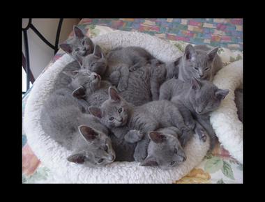 英文裡倍數的表示法