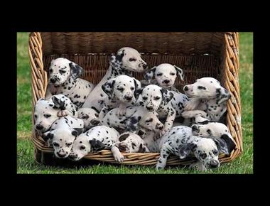 Spot on 是什麼意思？