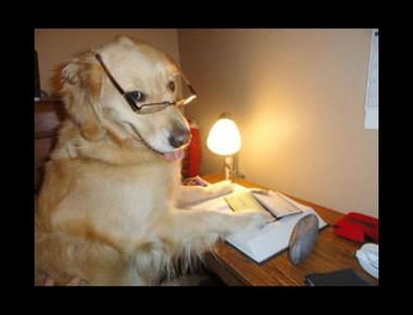 「pay the bills」為什麼會是要特別挪出時間做的事？