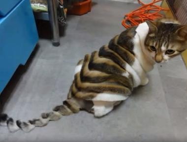 "四捨五入" 的英文怎麼說?