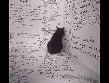 "加減乘除" 的英文怎麼說?