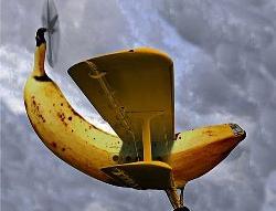 英文的趣味雙關語