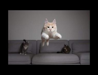 時態 - 過去進行式