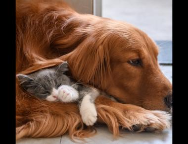 常見英文錯誤: "我的一個朋友" 到底怎麼說?