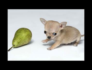 好用句：Grow a pair. 是什麼意思？