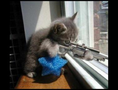 straight shooter 是指什麼？