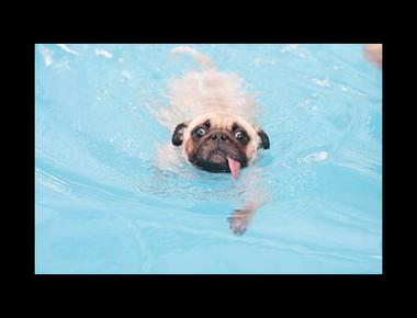 「in over someone’s head」是什麼意思？