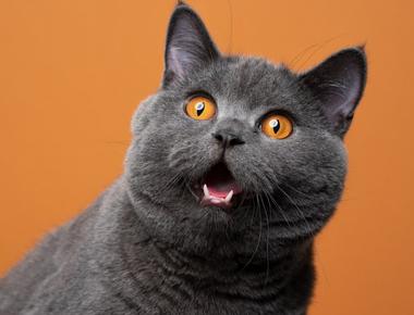 英式發音與美式發音比較