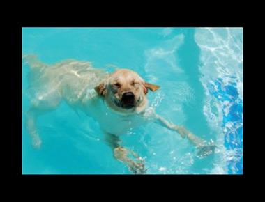 好用句：It’s not like … (or anything.)