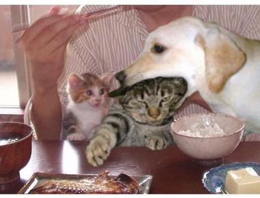 go south是什麼意思？