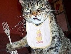 過去簡單式, 現在完成式和過去完成式的比較