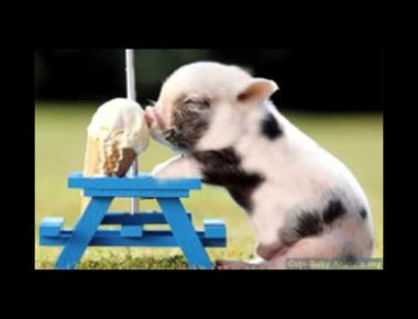 「like nobody’s business 」是什麼意思？