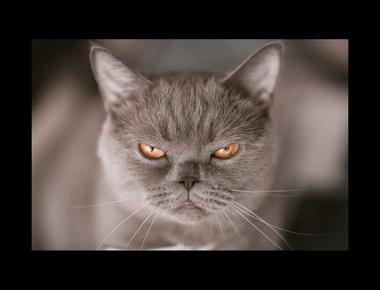 She rubs me the wrong way. 是什麼意思？