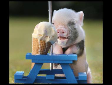 「cloud nine」是什麼意思？