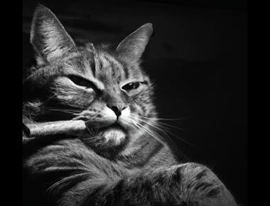 Close, but no cigar. 是什麼意思？