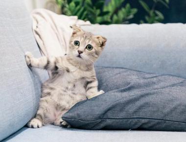 此"上網"非彼"上網"