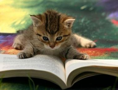 常見英文句子錯誤: 你家目前有誰在學英文?