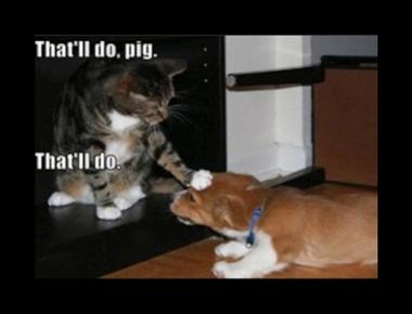 好用句：That’ll do.