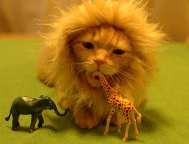 「吹牛」的英文怎麼說？