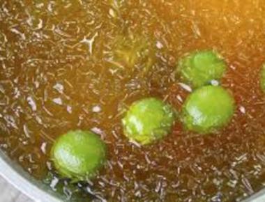 「愛玉」的英文怎麼說？