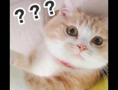 「the old ball and chain」是指什麼？