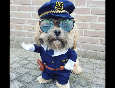 「New York's finest」是什麼意思？