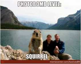 what does English word photobomb mean