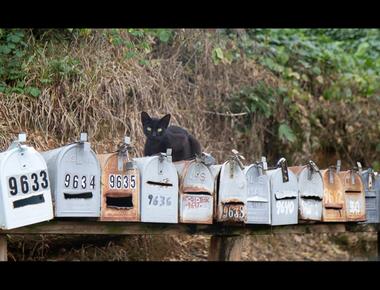 英文地址的寫法