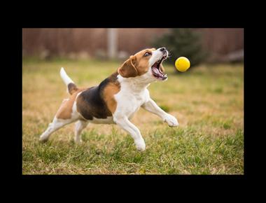 「急著…」的英文怎麼說？