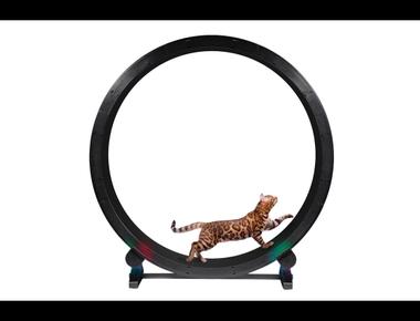 時態 - 現在進行式